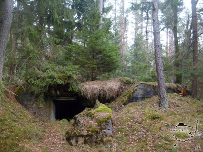 tl407